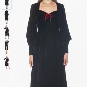 Alexia Admor Willa Bishop Sleeve Velour Dress, size 10